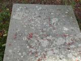 image of grave number 395643